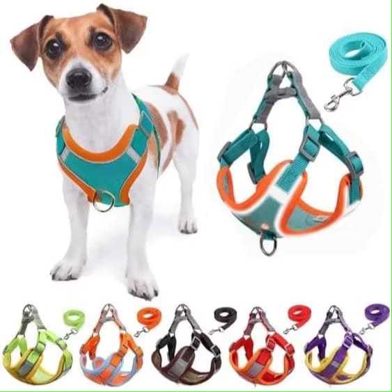 Coleira Peitoral Cachorro E Gato, Conjunto De Guia + Coleira Tipo Colete Para Pet Pequenos E Médios