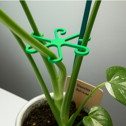 2 Suporte De Haste Transparente Alocasia Monstera Leaf Suporta Clipes De Videira Para Plantas Trepadeiras em Oferta na Shopee