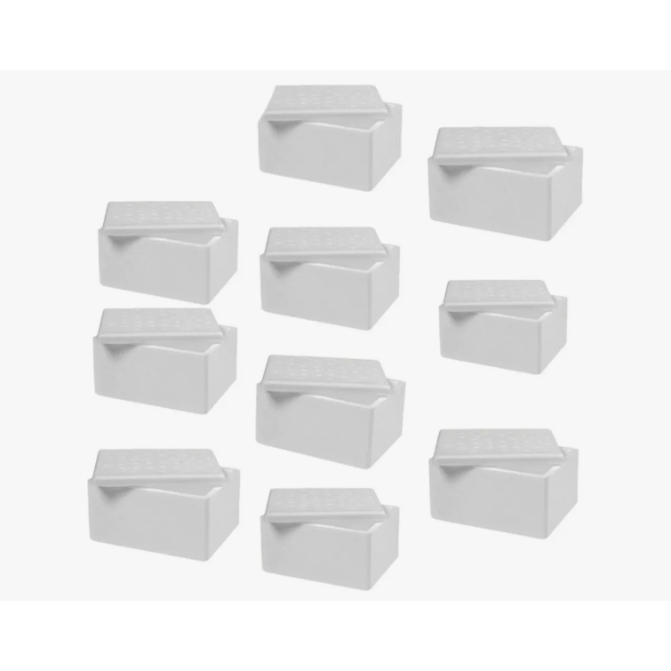 30 - caixa termica gelo pequena  - 500ml em Oferta na Shopee