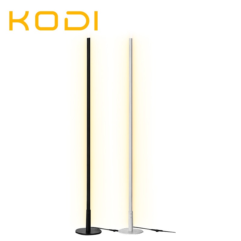 Luminária de assoalho LED simples estilo europeu de 100 cm com tempo de ajuste de controle remoto-G5 em Oferta na Shopee