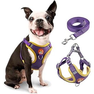 Coleira Peitoral Cachorro E Gato, Conjunto De Guia + Coleira Tipo Colete Para Pet Pequenos E Médios mania