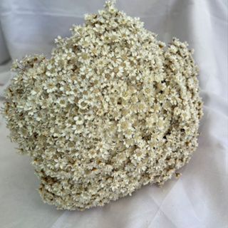 Buquês até 800 hastes aprox. Flor Sempre Vivas, Extra Premium, Flor  Desidratada e Seca, Decoração em Oferta na Shopee