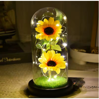 Cupula Vidro: Guia Completo e Onde Comprar | BuscaProdutos