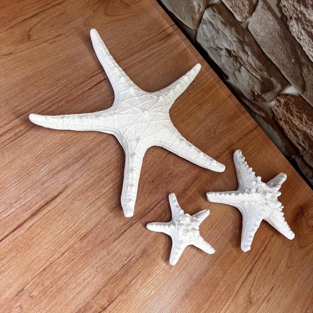 Kit 3 Estrelas do Mar de Parede Em Gesso Cru — imagem 2 de 2