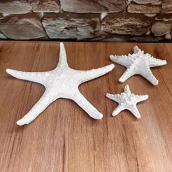 Kit 3 Estrelas do Mar de Parede Em Gesso Cru