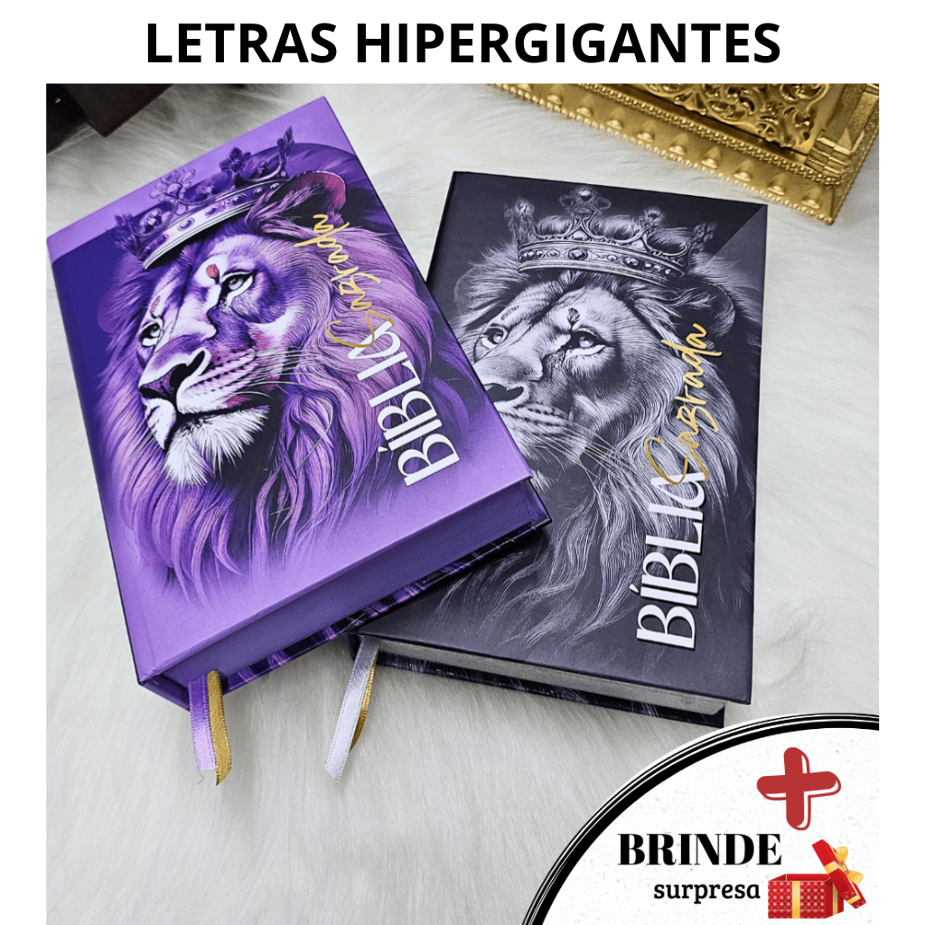 Bíblia Masculina Letra Grande: Onde Comprar | BuscaProdutos