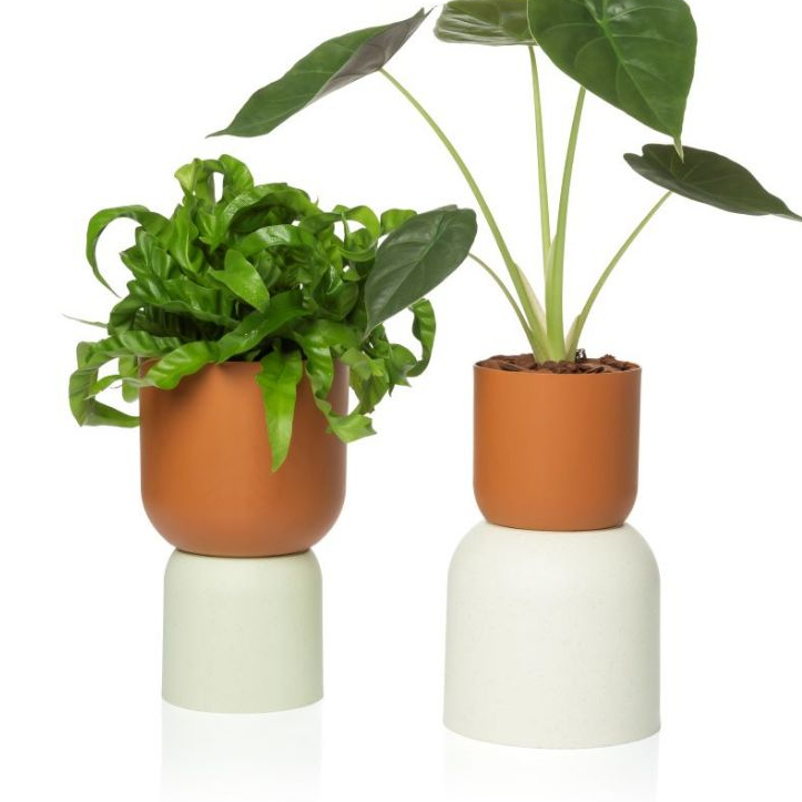 Vaso Decorativo Cachepo 02 Pote 12 DUE para Plantas Cuia em Oferta na Shopee