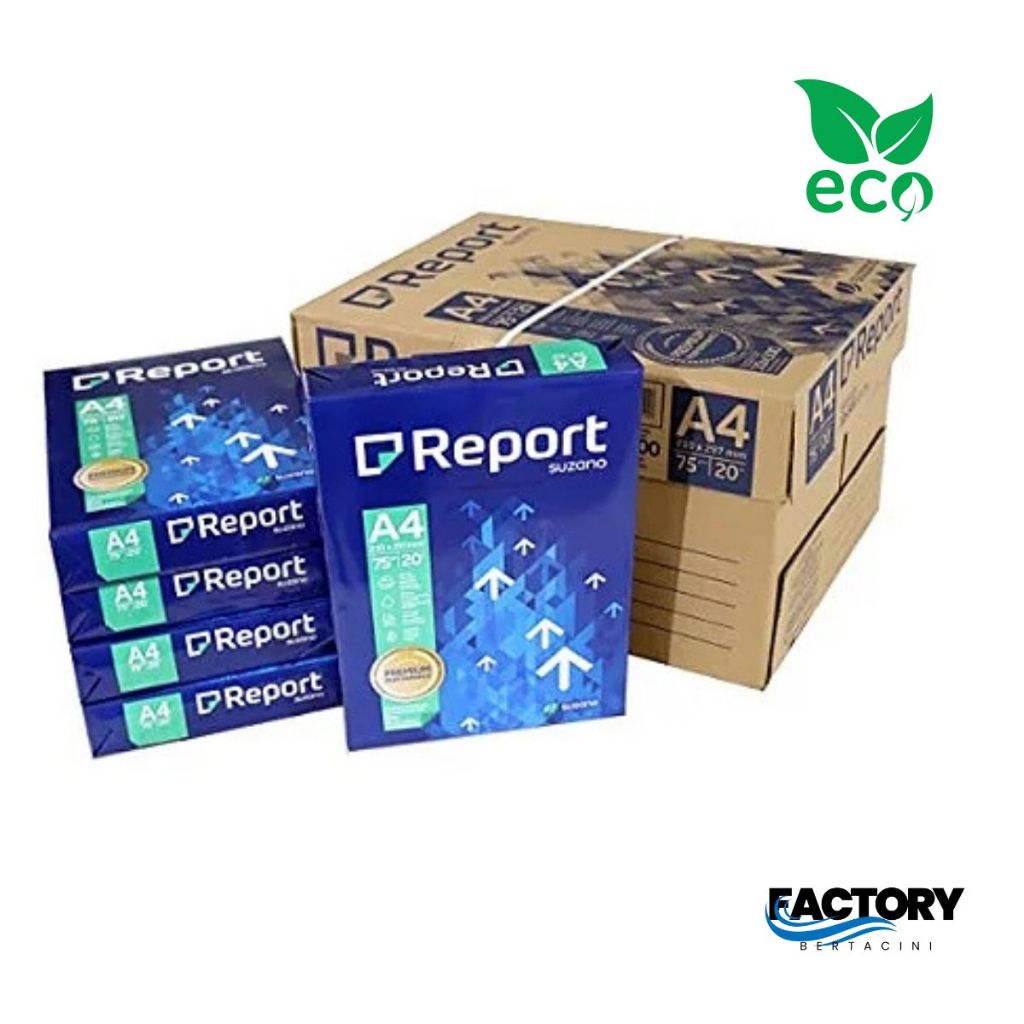 Box 3 Folhas: Guia Completo e Onde Comprar | BuscaProdutos