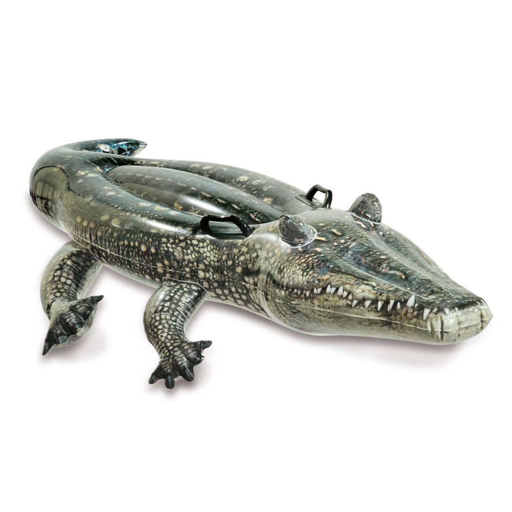 Boia Bote Inflável Jacaré Gator Realista Intex 1,70m - Intex Oficial Brasil em Oferta na Shopee