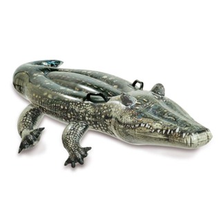 Boia Bote Inflável Jacaré Gator Realista Intex 1,70m - Intex Oficial Brasil em Oferta na Shopee