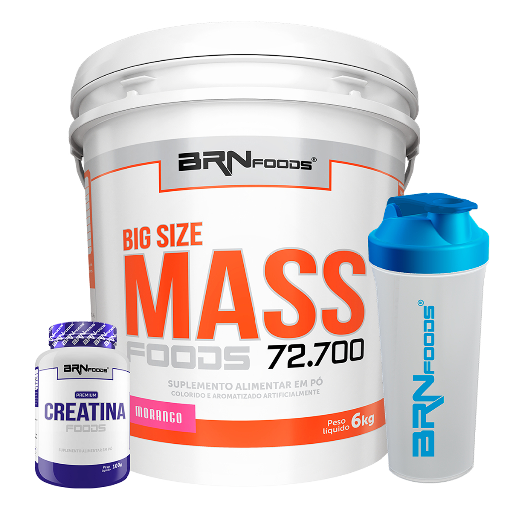 Kit Big Size Mass 6kg (Hipercalórico) + Premium Creatina 100g + Coqueteleira