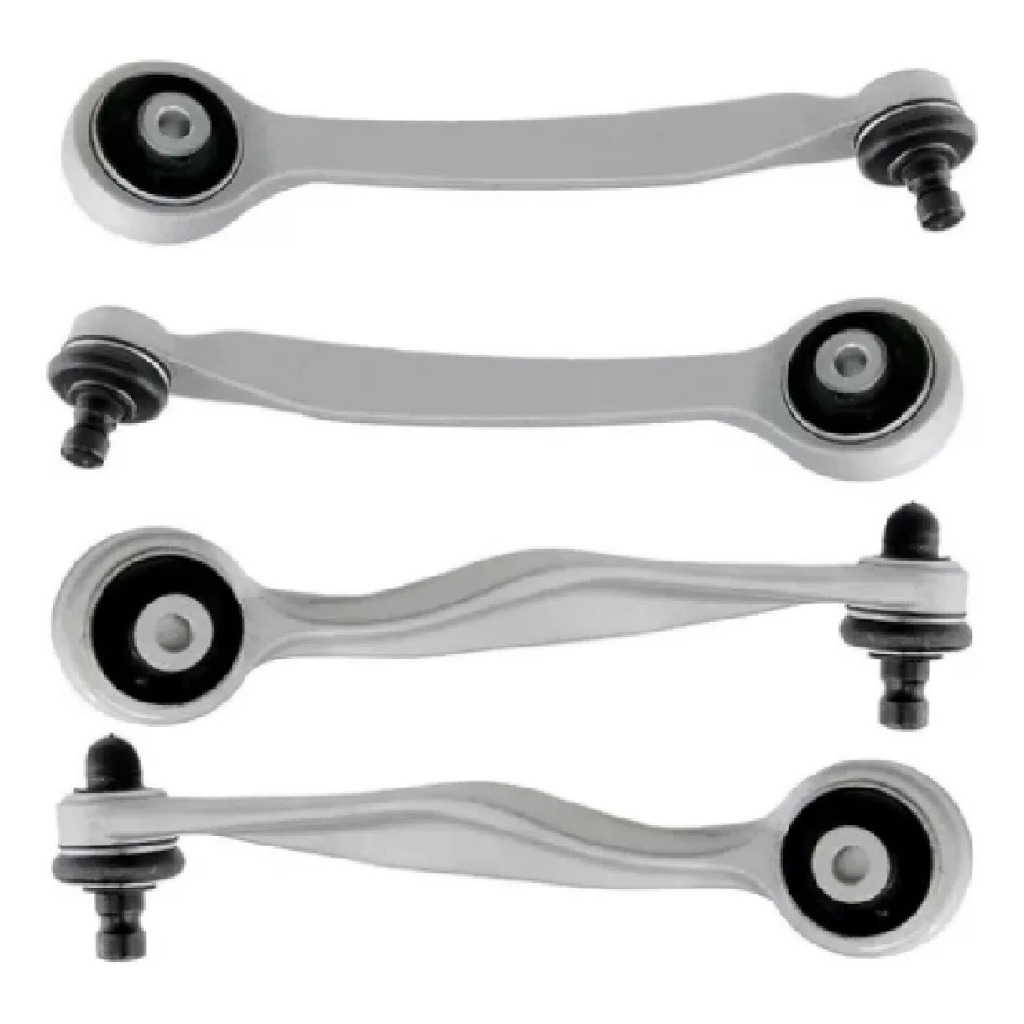 Braco Alemão: Guia Completo e Onde Comprar | BuscaProdutos