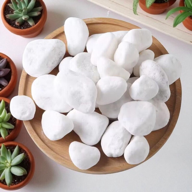 8kg Pedra Seixo branca Dolomita para Jardim Vaso Aquário