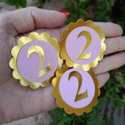 Aplique Números 1 a 9 Dourado e Rosa/Lilás/Cores Jardim – 4,5cm Personalizado
