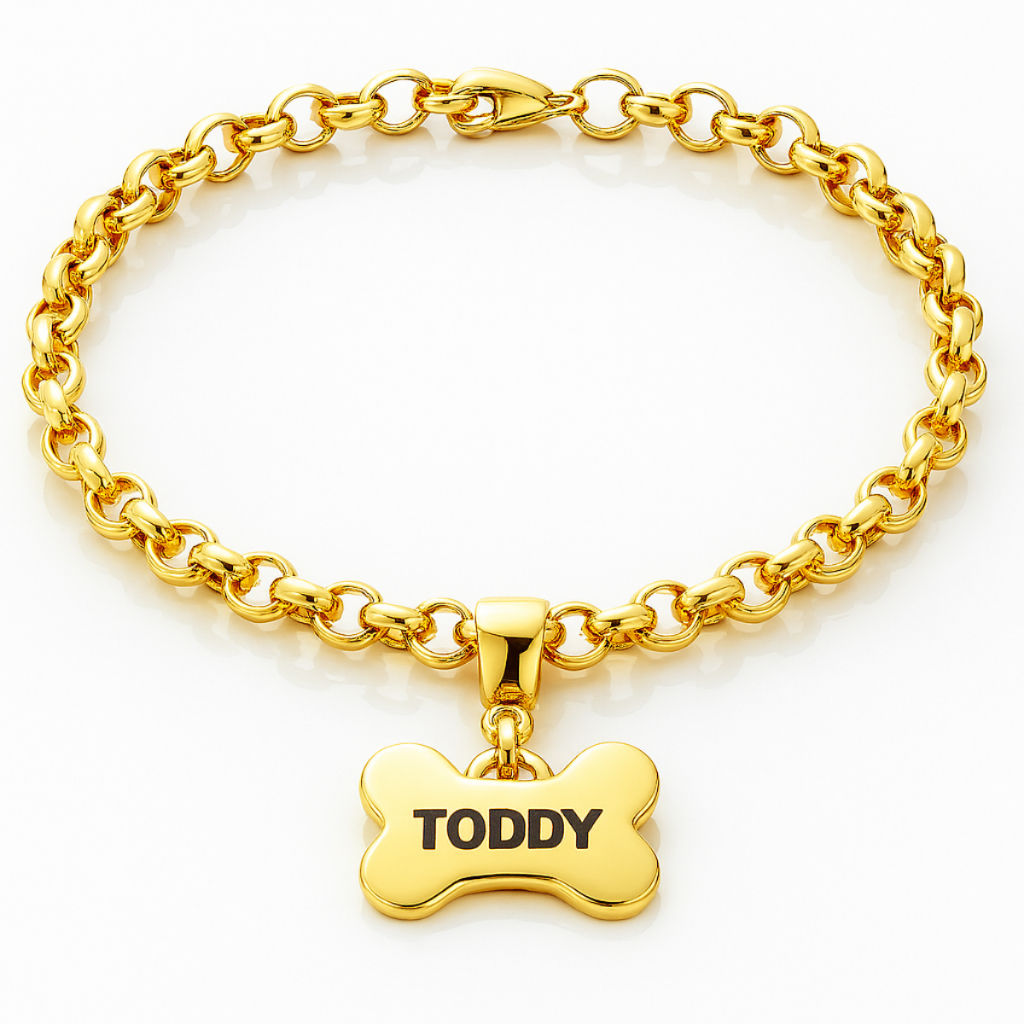 Coleira Pet Luxo Plaquinha Osso Personalizada Nome Gravação Cachorro Identificação Folheada Ouro 18k