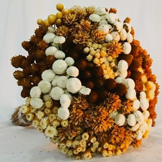 Buquê Mix, Mix de Sempre Vivas, Flores secas em Oferta na Shopee