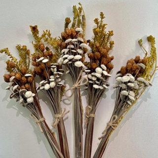 kit 5 Buquês Flores Sempre Vivas Secas e Desidratadas, Rústico, Botão Branco em Oferta na Shopee