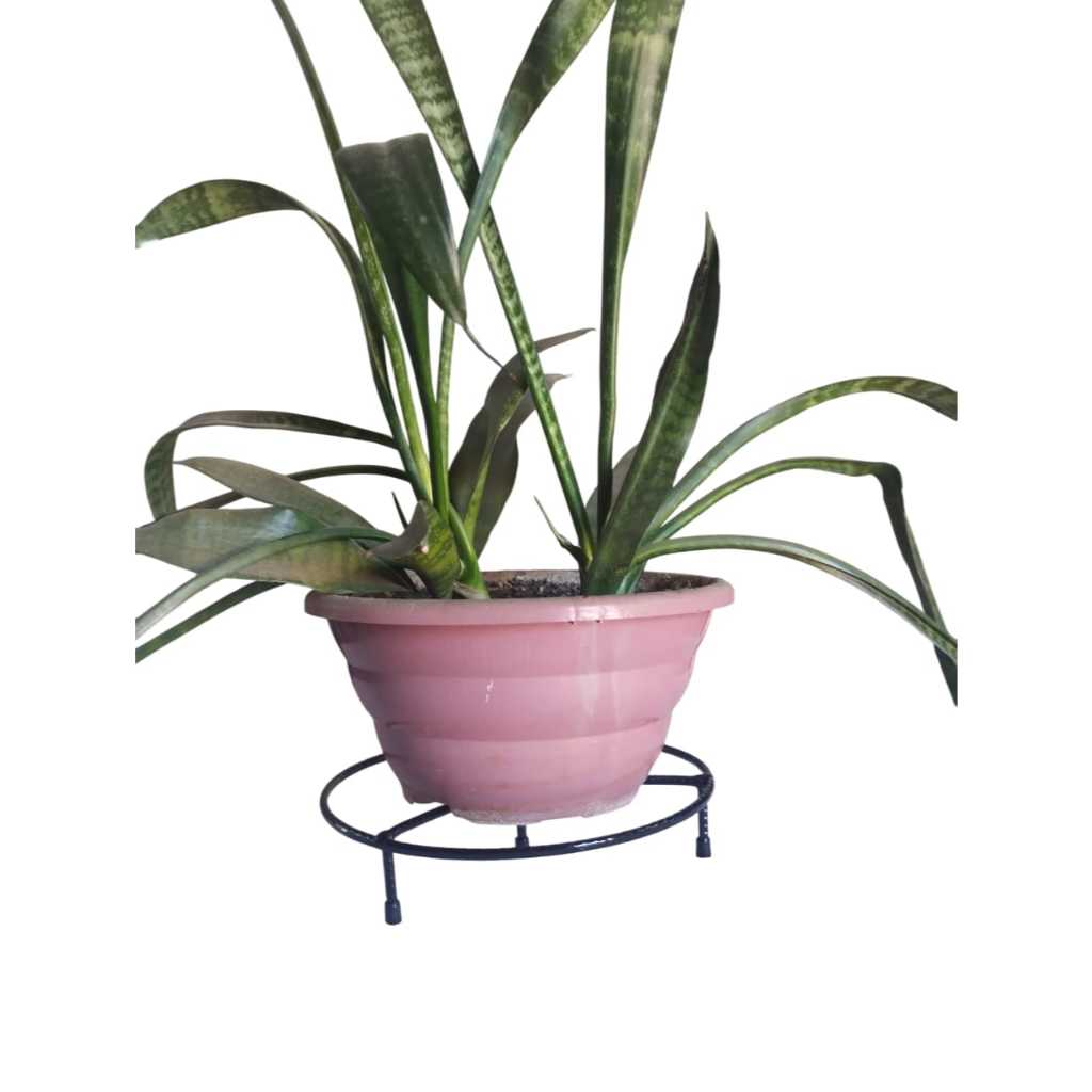 SUPORTE DE CHÃO PARA VASOS EXTRA REFORÇADOS ( SUPORTA 80KG).