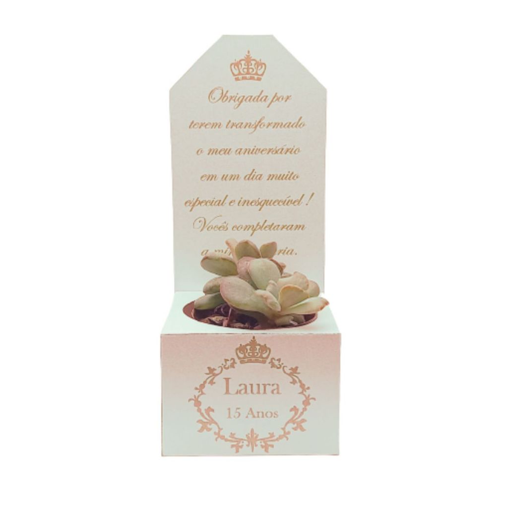Caixinha Personalizada para Suculenta  - Lembrancinha Aniversário - Casamento. Aniversário - Festa