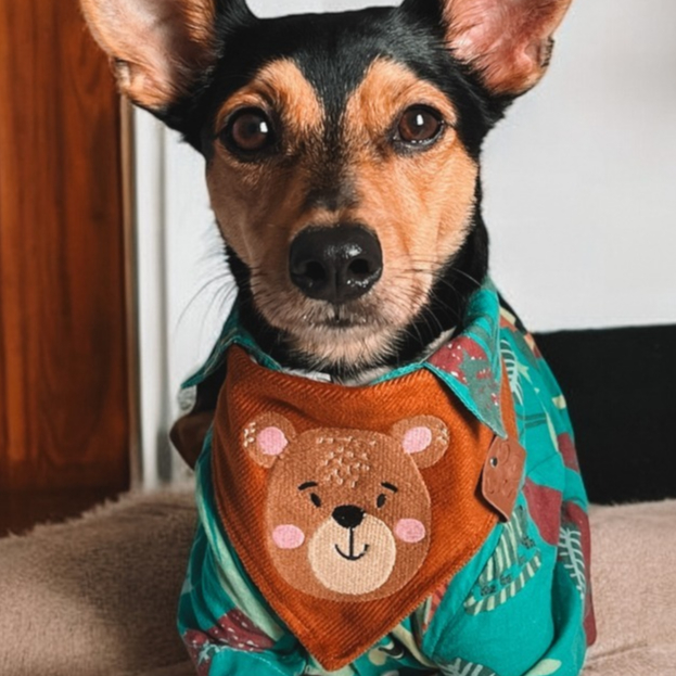 Bandana pet personalizada com BORDADO DE URSO - Vários Tamanhos e cores - Tecido Veludo Premium