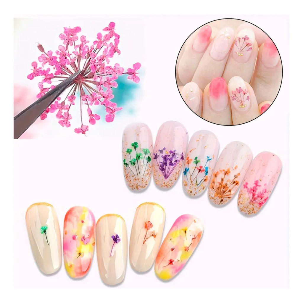 Caixinha com 12 Flores Secas/24 Flores Secas/36 Flores Secas Encapsulamento Decoração Unhas De Gel