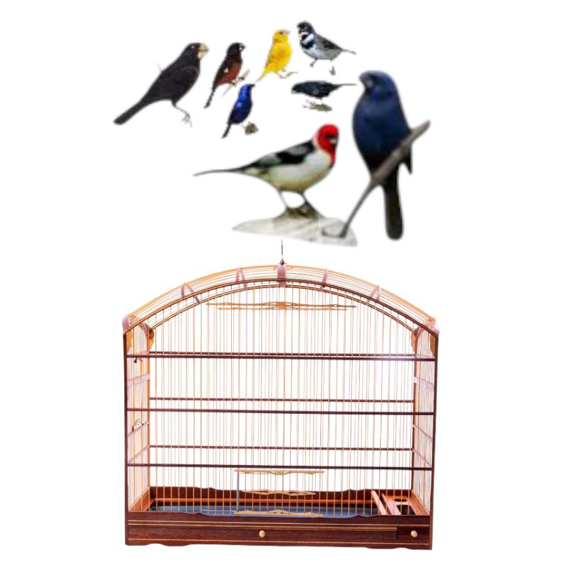 Gaiola abaulada   malha fina Luxo para curió bicudo azulão canário coleiro. em Oferta na Shopee