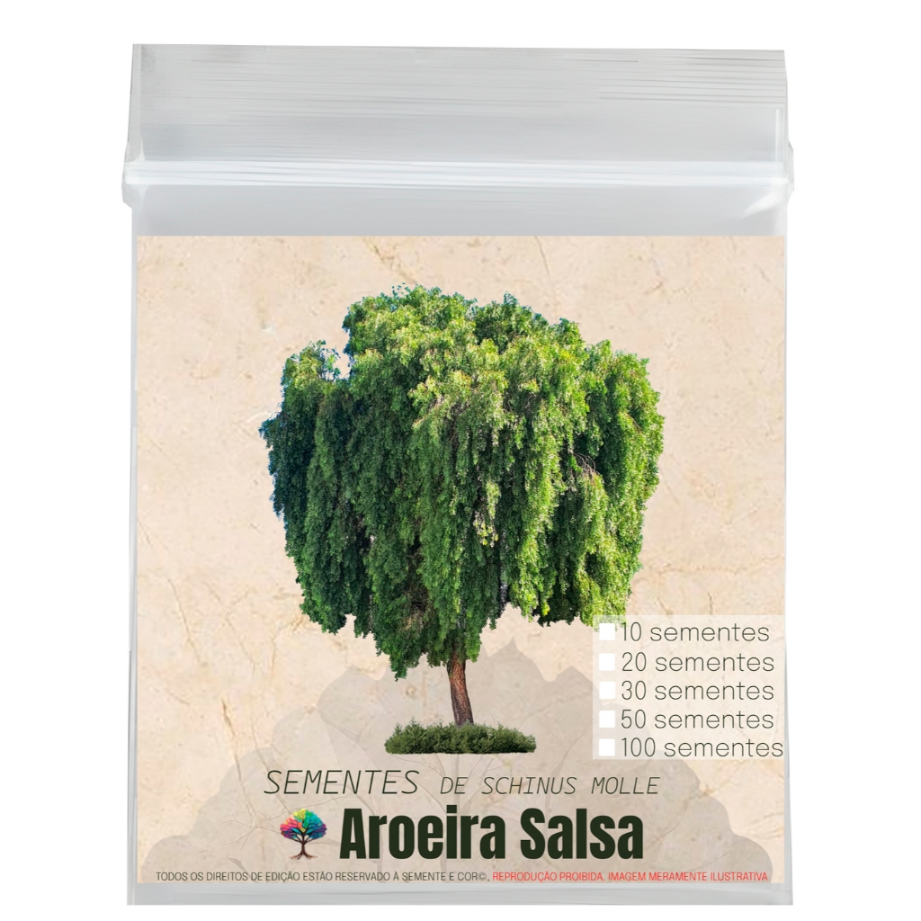 Semente para Mudas de Aroeira Salsa Schinus Molle - Semente e Cor