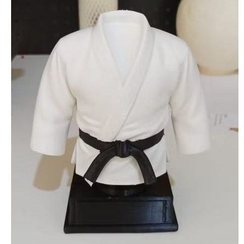 Troféu Karatê Artes Marciais Esporte Premiação Lutas Presente Enfeite Decoração