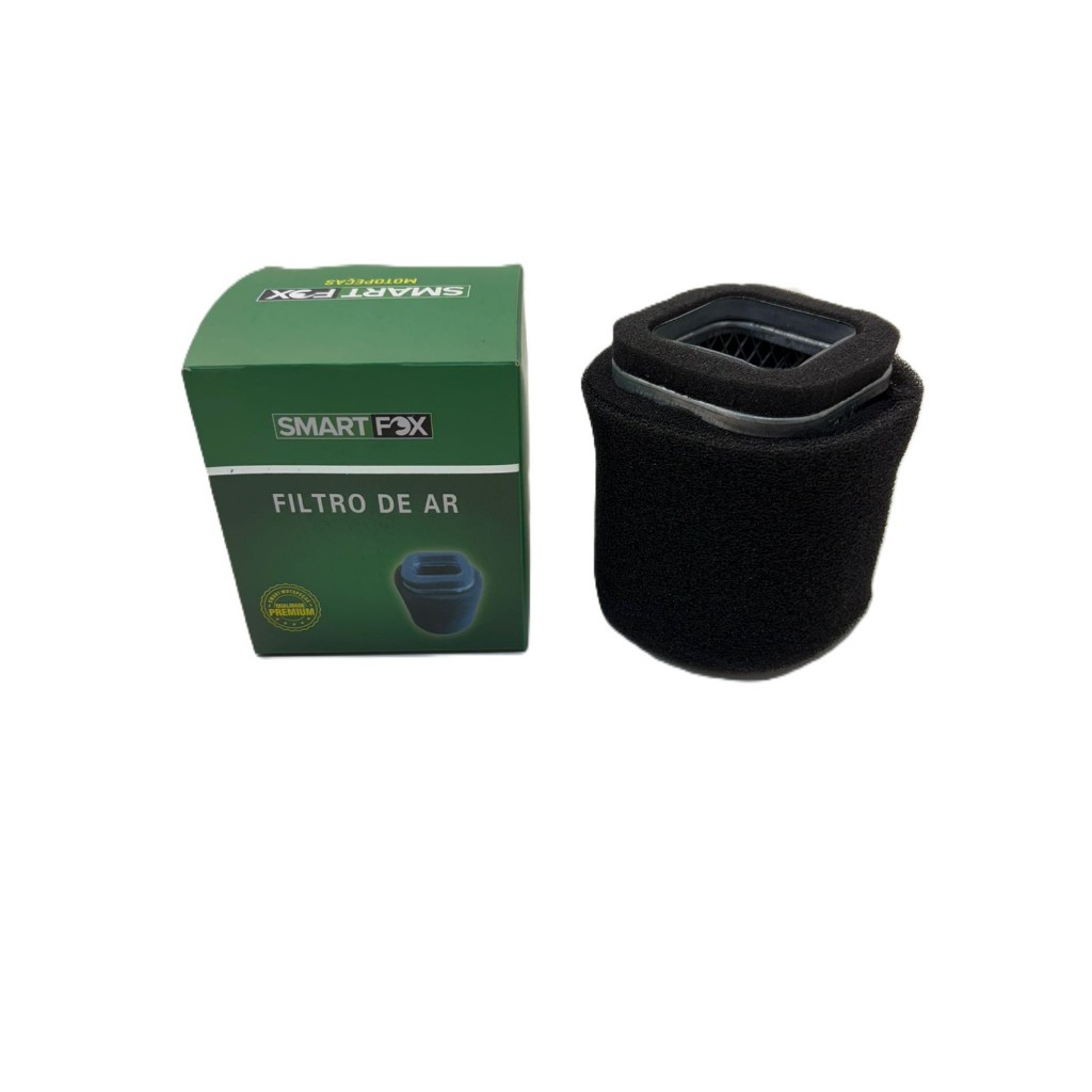 Filtro Ar Ybr 125 2000 a 2014 Smart Fox