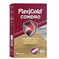 Flexigold Condro Colageno Tipo II - Condroitina - Glucosamina 60 Capsulas em Oferta na Shopee