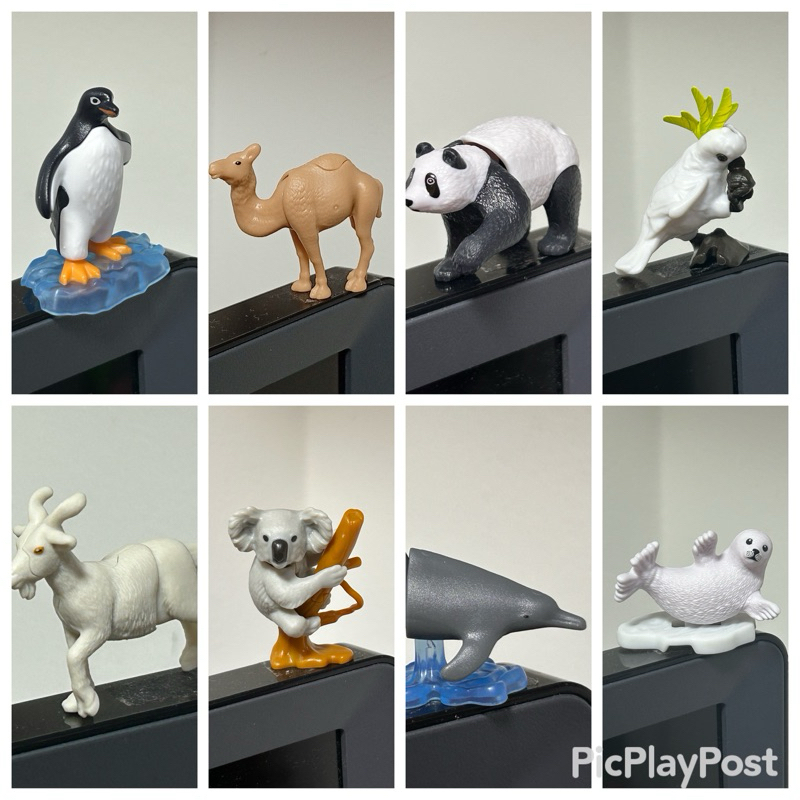 Brinquedo Kinder Ovo coleção Natoons