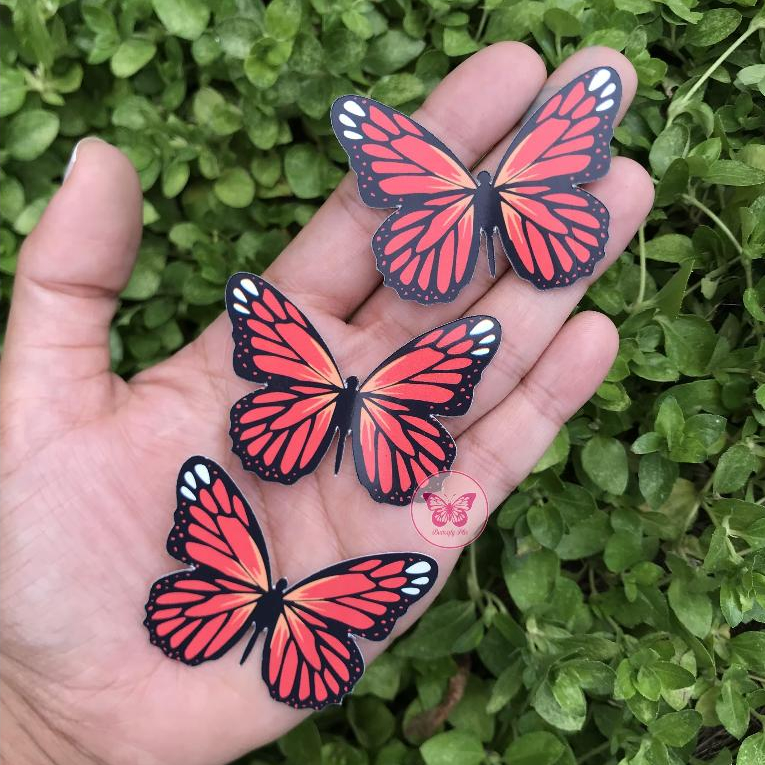 Buquê de Borboletas Preto: Onde Comprar | BuscaProdutos