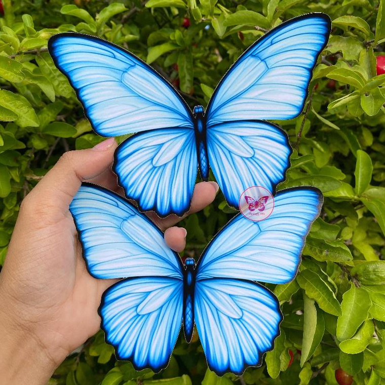 12 Borboletas Tom Azul Claro 15 CM  |Decoração Painel, Balão, Festa Jardim Encantado. em Oferta na Shopee