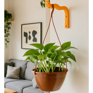 Gancho Ondulado para Pendurar Plantas – Suporte de Parede para Vasos Suspensos em Macramê em Oferta na Shopee