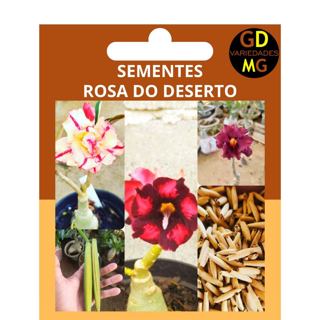 10 sementes de rosa do deserto