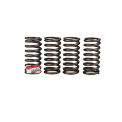 Kit Mola De Embreagem Titan Fan Bros 150 Original Honda