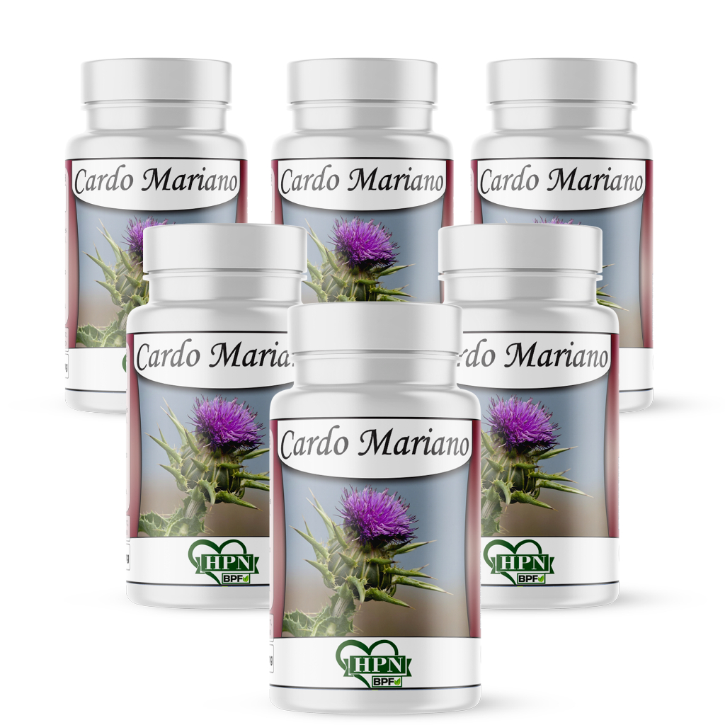 C.A.R.D    6 UNIDADES PRODUTO PREMIUM O MAIS VENDIDO DO PAÍS