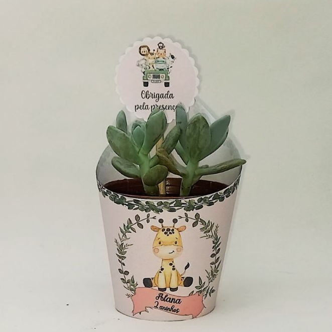 Lembrancinhas Para Aniversário tema Safari aquarela. Rótulo para Suculenta Tag Personalizado - Festa