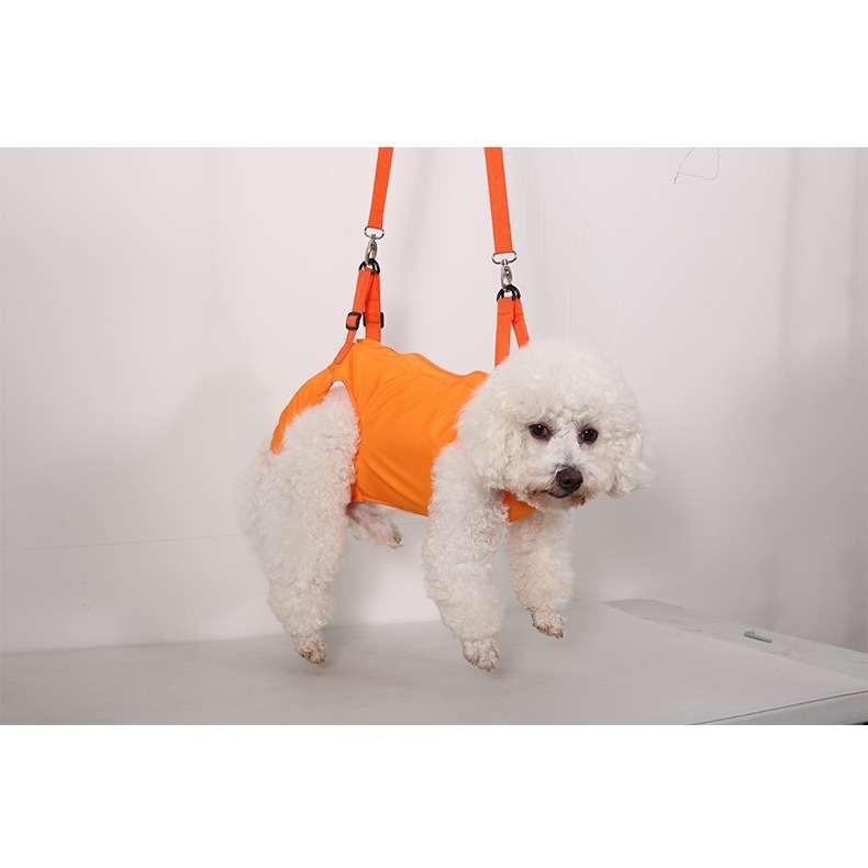Cinto de Apoio Laranja para Pets 4 Patas Suporte de Reabilitação para Mobilidade e Conforto em Oferta na Shopee