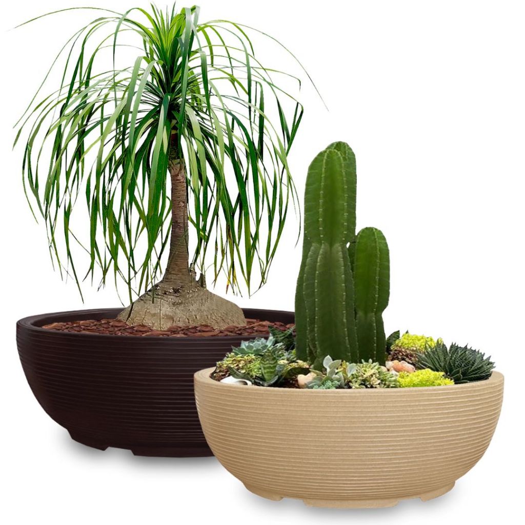 Kit 2 Vasos de Planta Bacia Cuia 75x25 Cm Redondo P/ Horta Floreira Decorativo em Polietileno em Oferta na Shopee