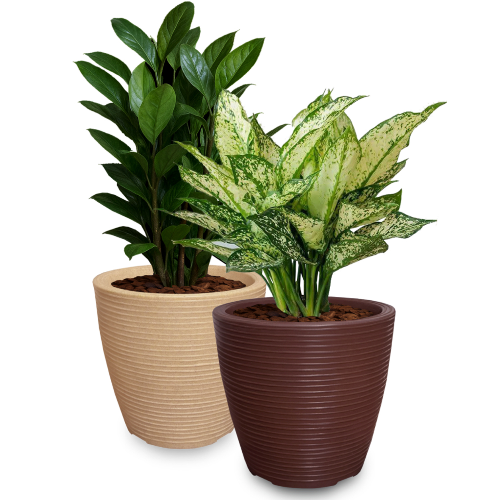 Kit 2 Vasos Jarros De Plantas Flores 30x34 Cm Redondo Pilão Decorativo de Plastico Polietileno Ref. VRF30
