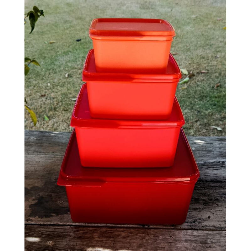 Kit Basic line com 4 peças e tampas para armazenamento - Tupperware
