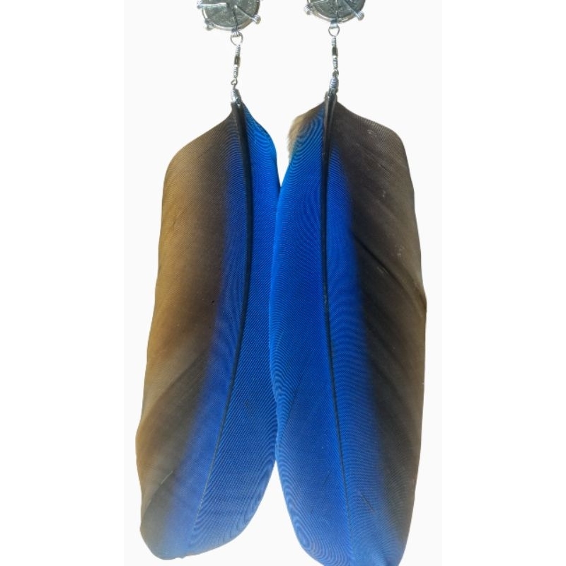 Brinco Pena de Arara: Onde Comprar | BuscaProdutos