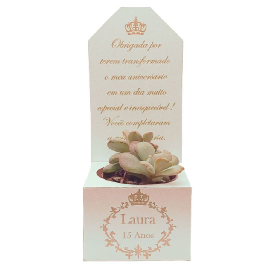 Caixa para Suculenta – Perfeita para Casamento, Aniversário e Eventos - Lembrancinha Personalizada