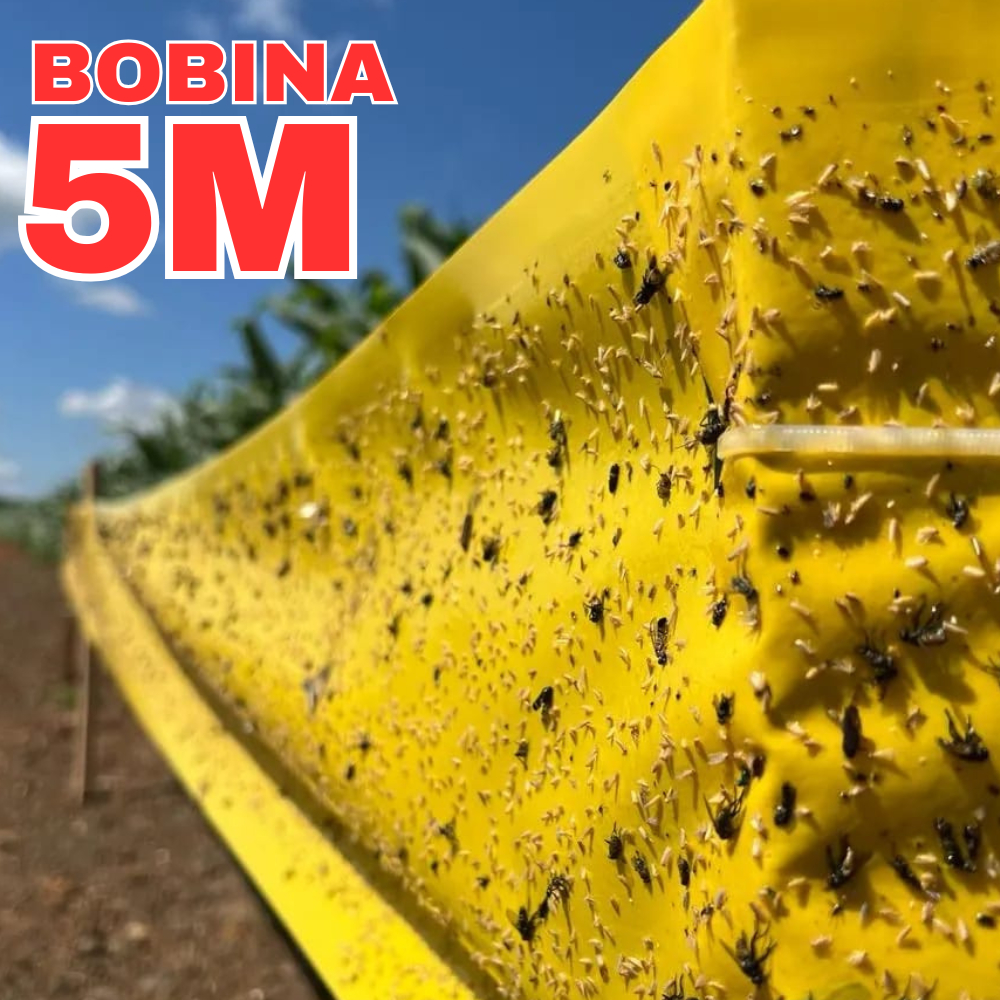 Bobina Adesiva para Monitoramento Cigarrinha do Milho - 5m Solução Adesiva