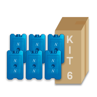 Gelo Artificial Reutilizável Rígido 200 Ml Kit 06 Unidades em Oferta na Shopee