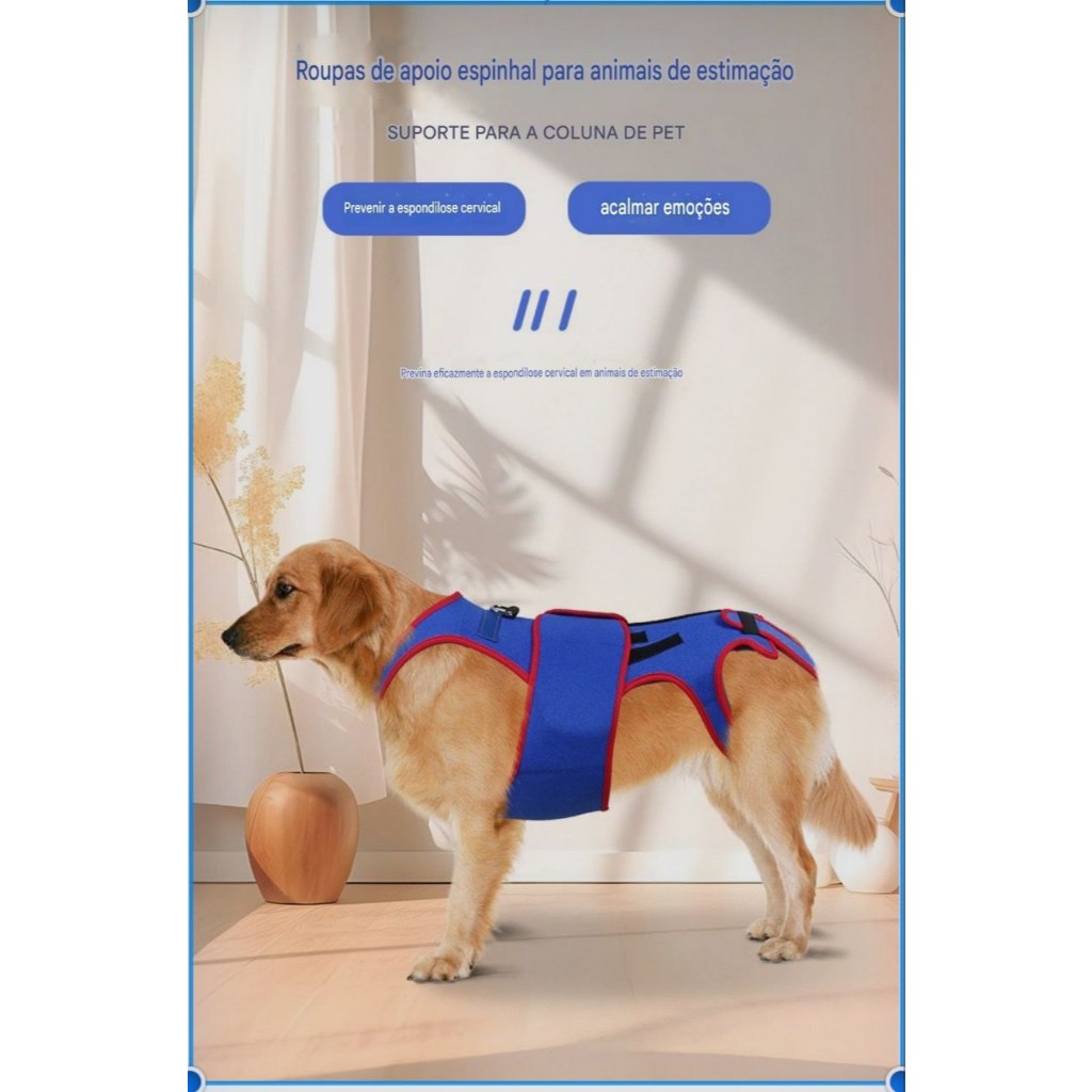 O que é Colete com Suporte Cervical? Guia e Onde Comprar | BuscaProdutos