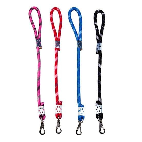 Guia para Cães de Grande Porte: Onde Comprar | BuscaProdutos