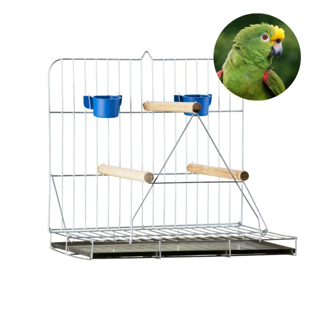 Brinquedos Londrina: Onde Comprar | BuscaProdutos