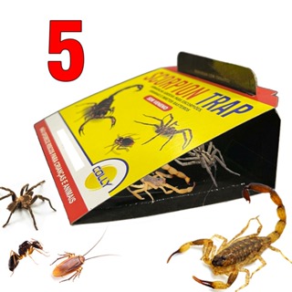 Kit com 5 unidades Armadilha Adesiva Captura Escorpião Barata | Scorpion Trap Colly em Oferta na Shopee